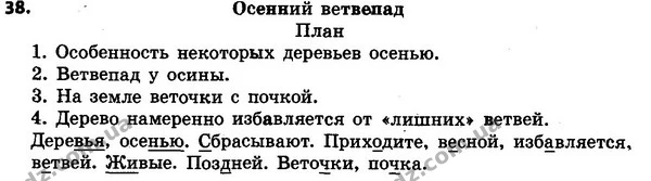 38 — ГДЗ Русский язык 4 класс Сильнова, Каневская 2015