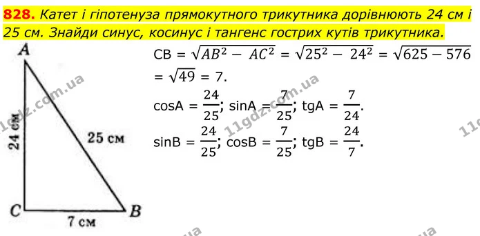 828. Катет і гіпотенуза прямокутного трикутника дорівнюють 24 см і 25 см. Знайди синус, косинус і тангенс гострих кутів трикутника. — ГДЗ Геометрія 8 клас Бевз