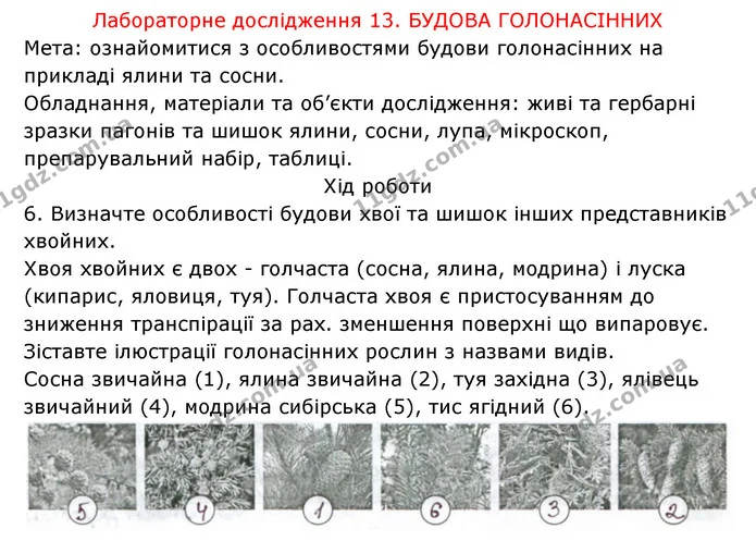 Стор. 75 — 2 — ГДЗ Робочий зошит Біологія 6 клас Соболь — ГДЗ Робочий зошит Біологія 6 клас Соболь
