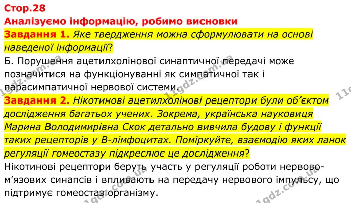 Стор. 28 — 1-2 — ГДЗ робочий зошит Біологія 8 клас Андерсон — ГДЗ робочий зошит Біологія 8 клас Андерсон
