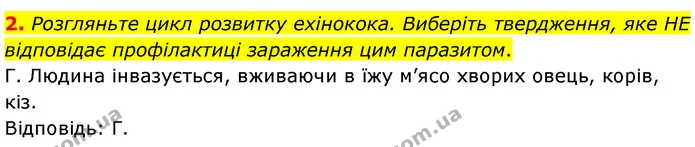 Стор. 206 — Стр.206 (2.2) — ГДЗ Біологія 7 клас Балан — ГДЗ Біологія 7 клас Балан