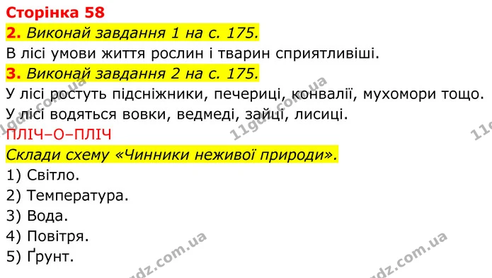 1. Виконай кроки 1–2 дослідження і заповни таблицю. — ГДЗ робочий зошит Пізнаємо природу 5 клас Коршевнюк