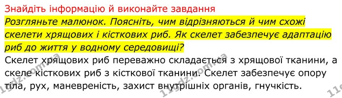 Стор. 15 — 2 — ГДЗ Біологія 8 клас Тагліна — ГДЗ Біологія 8 клас Тагліна