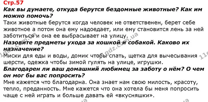 Как вы думаете, откуда берутся бездомные животные? Как им можно помочь? — ГДЗ Я исследую мир 1 класс Гильберг