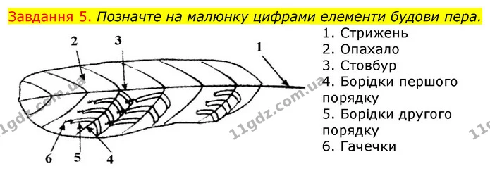Стор. 49 — 5 — ГДЗ Робочий зошит з Біології 7 клас Яременко — ГДЗ Робочий зошит з Біології 7 клас Яременко