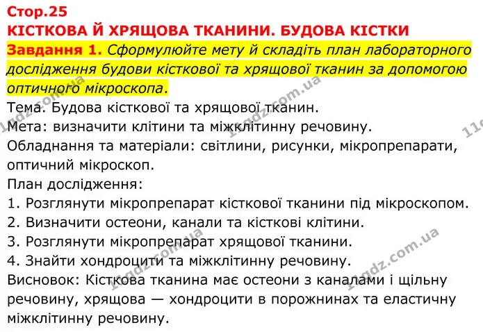 Стор. 25 — 1 — ГДЗ робочий зошит Біологія 8 клас Андерсон — ГДЗ робочий зошит Біологія 8 клас Андерсон