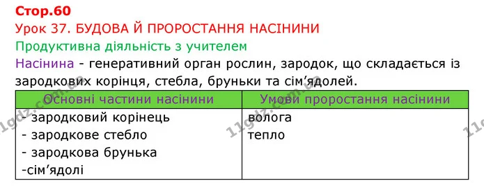 Стор. 60 — 1 — ГДЗ Робочий зошит Біологія 6 клас Соболь — ГДЗ Робочий зошит Біологія 6 клас Соболь