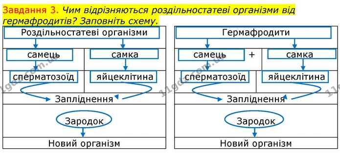 Стор. 78 — 3 — ГДЗ Робочий зошит з Біології 7 клас Яременко — ГДЗ Робочий зошит з Біології 7 клас Яременко