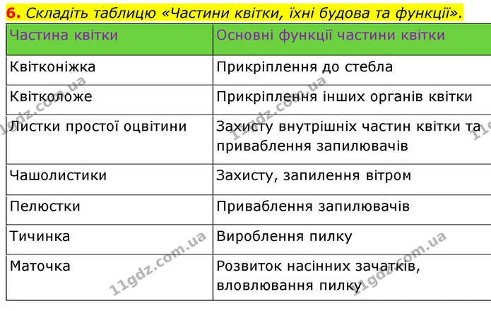 6. Складіть таблицю «Частини квітки, їхні будова та функції». — ГДЗ Біологія 7 клас Тагліна