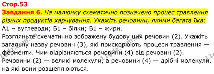 Стор. 53 — 6 — ГДЗ Робочий зошит біологія 8 клас Мирна — ГДЗ Робочий зошит біологія 8 клас Мирна