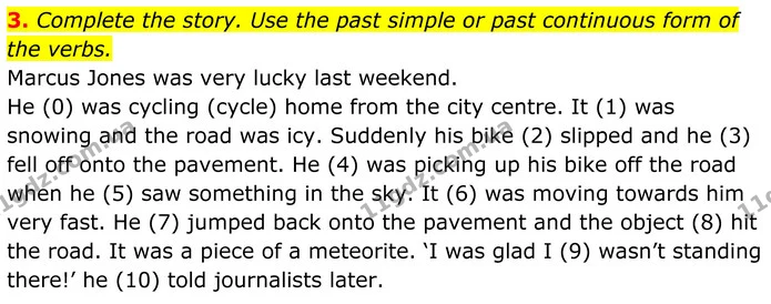 3. Complete the story. Use the past simple or past continuous form of the verbs. — ГДЗ Англійська мова 8 клас Стайрінг (Prepare)