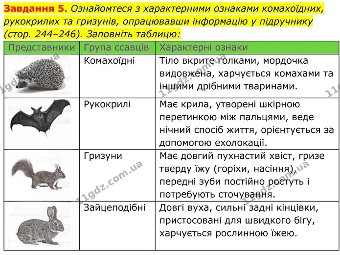 5. Ознайомтеся з характерними ознаками комахоїдних, рукокрилих та гризунів, опрацювавши інформацію у підручнику (стор. 244–246) — ГДЗ Робочий зошит Біологія 7 клас Мирна 2024
