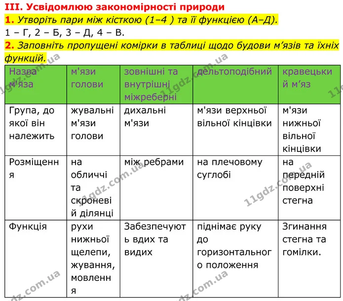Стор. 98 — Стр.98-(3.1-3.2) — ГДЗ Біологія 8 клас Балан — ГДЗ Біологія 8 клас Балан