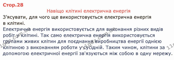 Стор.28 — ГДЗ Зошит лабораторні Фізика 8 клас Божинова
