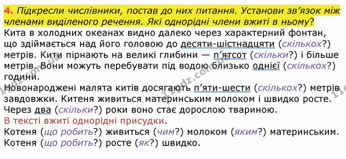 4. Підкресли числівники, постав до них питання. Установи зв’язок між членами виділеного речення. Які однорідні члени вжиті в ньому? — ГДЗ Українська мова 4 клас Вашуленко 2021 (1 частина)