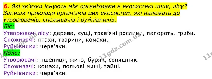 6. Які зв’язки існують між організмами в екосистемі поля, лісу? Запиши приклади організмів цих екосистем, які належать до утворювачів — ГДЗ Природознавство 5 клас Коршевнюк