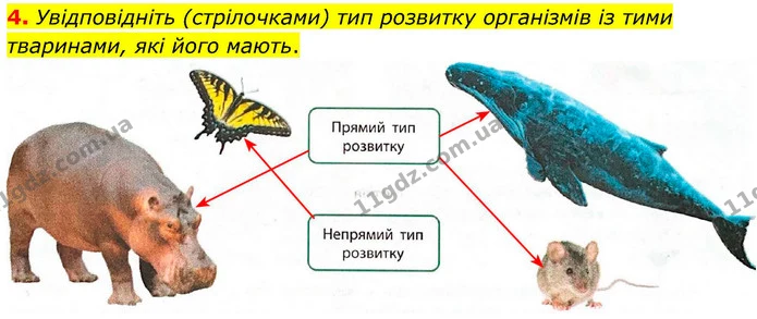 1. Визначте поняття. — частина 4 — ГДЗ Робочий зошит Біологія 8 клас Тагліна (2025)