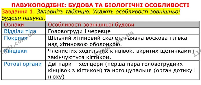 Стор. 21 — 1 (2) — ГДЗ Робочий зошит з Біології 7 клас Яременко — ГДЗ Робочий зошит з Біології 7 клас Яременко
