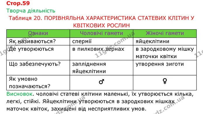 Стор. 59 — 1 — ГДЗ Робочий зошит Біологія 6 клас Соболь — ГДЗ Робочий зошит Біологія 6 клас Соболь