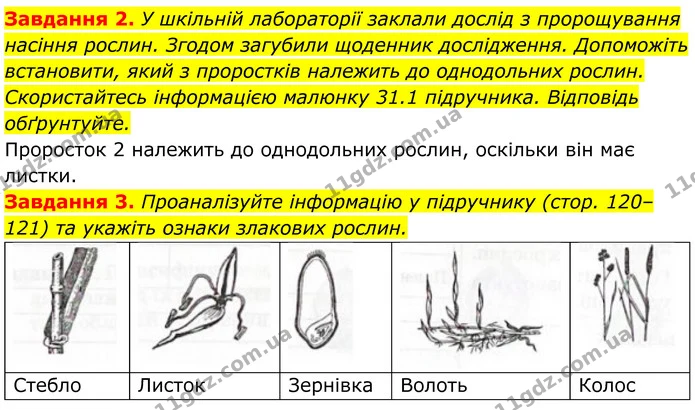 2. У шкільній лабораторії заклали дослід з пророщування насіння рослин. Згодом загубили щоденник дослідження. Допоможіть встановити — ГДЗ Робочий зошит Біологія 7 клас Мирна 2024