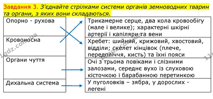 Стор. 43 — 3 — ГДЗ Робочий зошит з Біології 7 клас Яременко — ГДЗ Робочий зошит з Біології 7 клас Яременко