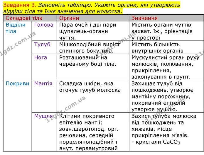 Стор. 33 — 3 — ГДЗ Робочий зошит з Біології 7 клас Яременко — ГДЗ Робочий зошит з Біології 7 клас Яременко