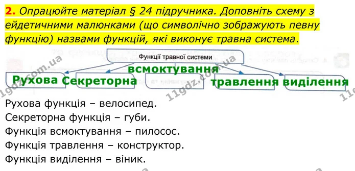 2. Опрацюйте матеріал § 24 підручника. Доповніть схему з ейдетичними малюнками (що символічно зображують певну функцію) назвами — ГДЗ Робочий зошит Біологія 8 клас Кулініч