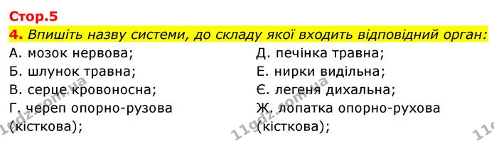 4. Впишіть назву системи, до складу якої входить відповідний орган: — ГДЗ Робочий зошит Біологія 8 клас Задорожний