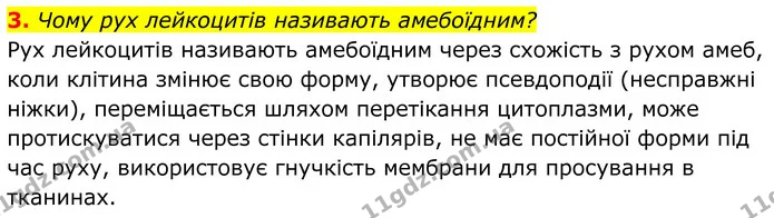 3. Чому рух лейкоцитів називають амебоїдним? — ГДЗ Біологія 8 клас Балан