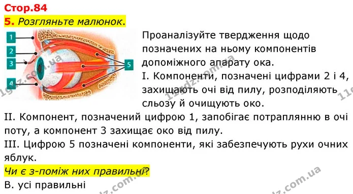 1. Підпишіть ті компоненти будови ока, які ви знаєте — частина 5 — ГДЗ Робочий зошит Біологія 8 клас Тагліна (2025)