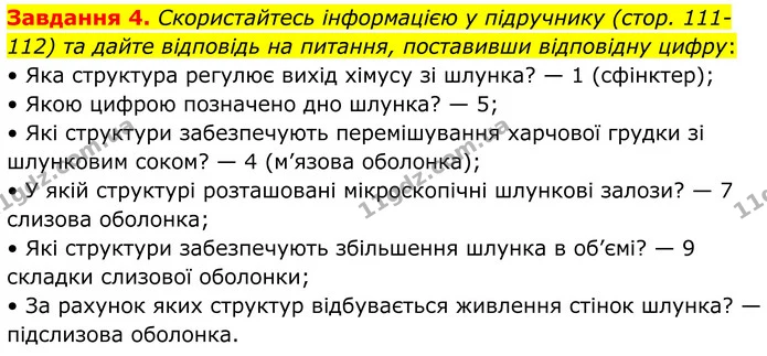 Стор. 56 — 4 — ГДЗ Робочий зошит біологія 8 клас Мирна — ГДЗ Робочий зошит біологія 8 клас Мирна