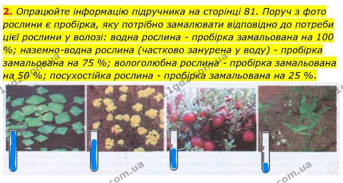 2. Опрацюйте інформацію підручника на сторінці 81. Поруч з фото рослини є пробірка, яку потрібно замалювати відповідно до потреби цієї — ГДЗ робочий зошит Біологія 7 клас Кулініч