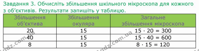 Стор. 7 — 3 — ГДЗ Робочий зошит Біологія 6 клас Мечник — ГДЗ Робочий зошит Біологія 6 клас Мечник