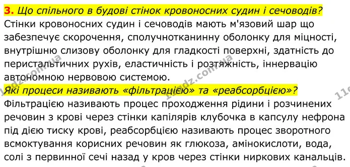3. Що спільного в будові стінок кровоносних судин і сечоводів? — ГДЗ Біологія 8 клас Балан