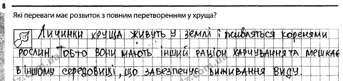 Стор. 53 — 8 — ГДЗ Робочий зошит Біологія 7 клас Задорожний — ГДЗ Робочий зошит Біологія 7 клас Задорожний
