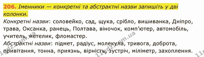 206. Іменники — конкретні та абстрактні назви запишіть у дві колонки. — ГДЗ Українська мова 6 клас Глазова