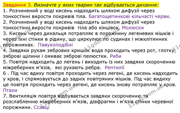 Стор. 62 — 3 — ГДЗ Робочий зошит з Біології 7 клас Яременко — ГДЗ Робочий зошит з Біології 7 клас Яременко