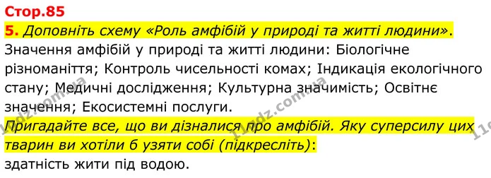 5. Доповніть схему «Роль амфібій у природі та житті людини». — ГДЗ робочий зошит Біологія 7 клас Кулініч