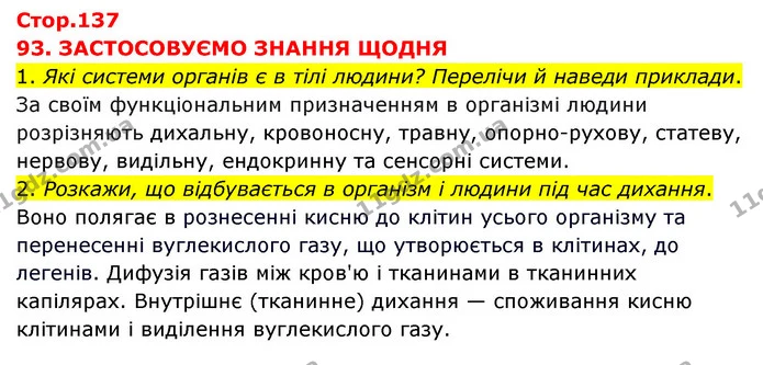 1. Які системи органів є в тілі людини? Перелічи й наведи приклади. — ГДЗ Я досліджую світ 3 клас Грущинська (1 частина)