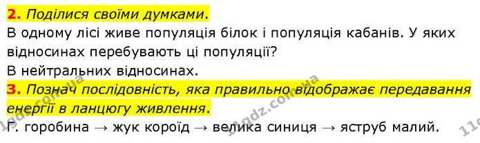 Стор. 4 — 2-3 — ГДЗ робочий зошит Біологія 7 клас Тагліна — ГДЗ робочий зошит Біологія 7 клас Тагліна