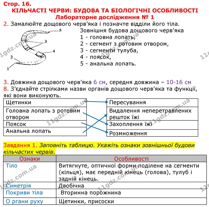 Завдання 6. Порівняйте біологічні особливості основних груп кишково порожнинних. — ГДЗ Робочий зошит з Біології 7 клас Яременко