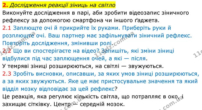 2. Дослідження реакції зіниць на світло — ГДЗ Робочий зошит Біологія 8 клас Тагліна (2025)