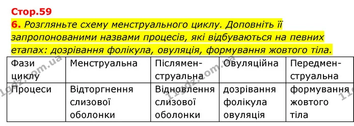 6. Розгляньте схему менструального циклу. Доповніть її запропонованими назвами процесів, які відбуваються на певних етапах: дозрівання — ГДЗ Робочий зошит Біологія 8 клас Задорожний