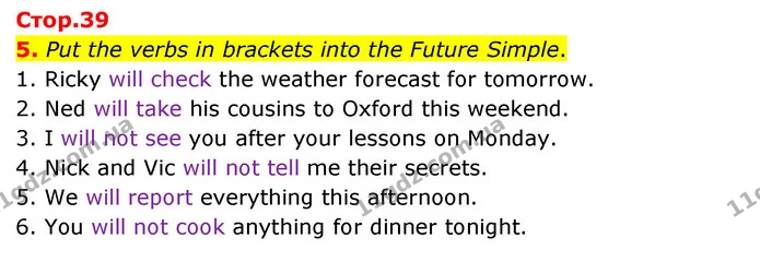 5. Put the verbs in brackets into the Future Simple. — ГДЗ Зошит з граматики Англійська мова 5 клас Карпюк 2022