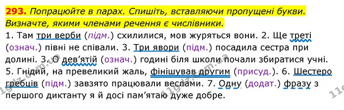 293. Попрацюйте в парах. Спишіть, вставляючи пропущені букви. — ГДЗ Українська мова 6 клас Ворон, Солопенко