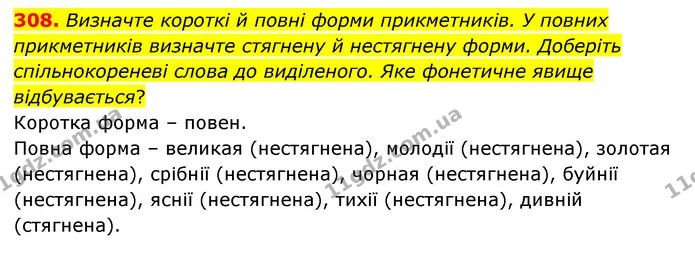 308. Визначте короткі й повні форми прикметників. У повних прикметників визначте стягнену й нестягнену форми. Доберіть спільнокореневі — ГДЗ Українська мова 6 клас Голуб 2023