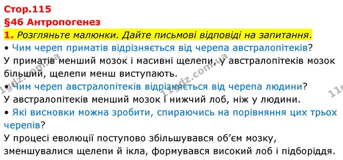 1. Розгляньте малюнки. Дайте письмові відповіді на запитання. — ГДЗ Робочий зошит Біологія 8 клас Тагліна (2025)