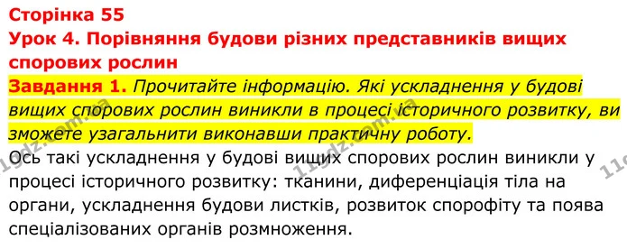 1. Прочитайте інформацію. Які ускладнення у будові вищих спорових рослин виникли в процесі історичного розвитку, ви зможете узагальнити — ГДЗ Робочий зошит Біологія 7 клас Мирна 2024