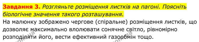 3. Розгляньте розміщення листків на пагоні. Поясніть біологічне значення такого розташування. — ГДЗ Робочий зошит Біологія 7 клас Мирна 2024