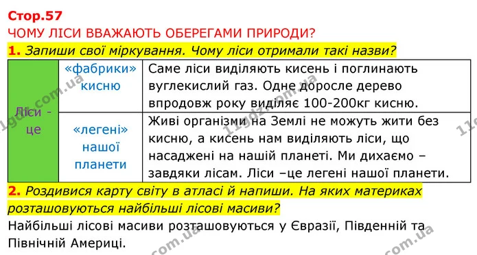 1. Запиши свої міркування. Чому ліси отримали такі назви? — ГДЗ Робочий зошит Я досліджую світ 4 клас Грущинська